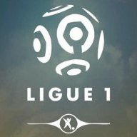 Ligue 1 fan