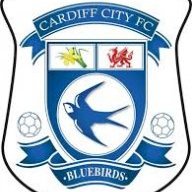 Bluebird_Dai