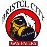Bristol city Wayne