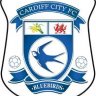 Bluebird_Dai