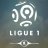 Ligue 1 fan
