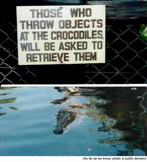 stupid-signs-zoo-signs-retrieve-objects-from-crocodile.jpg