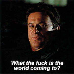 43fd9589dd3fe7f2ba5748a450cfc0f2.gif