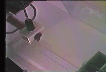 tumblr_n8sxrey3no1rc7zl1o2_400.gif
