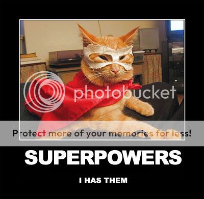 Cat-CatWearingCapeAndMaskSuperpower.jpg