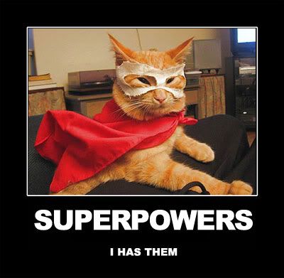 Cat-CatWearingCapeAndMaskSuperpower.jpg