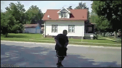 giphy.gif