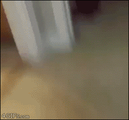 tumblr_o8z9fv0njb1tlb56zo1_400.gif
