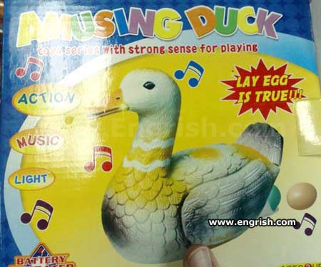 amusingduck1.jpg