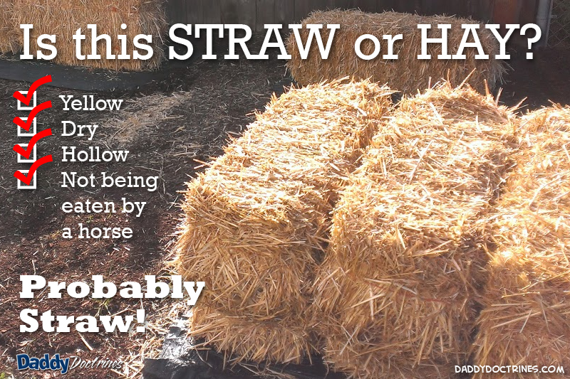 sbg-straw-or-hay.jpg