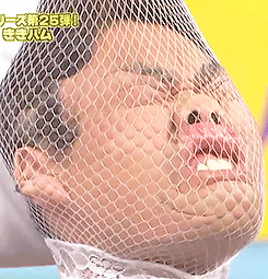 tumblr_n9s1f6xtIB1td0h5jo1_250.gif