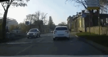 1395082765_dog_crosses_street_on_crosswalk.gif