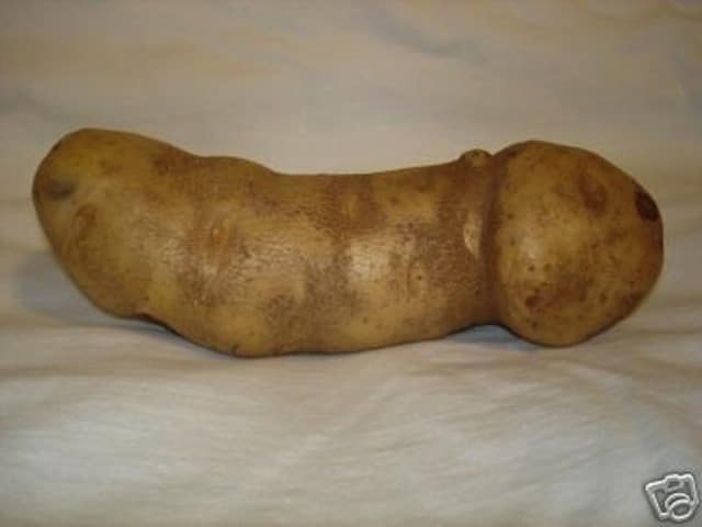 potatopenis7.jpg