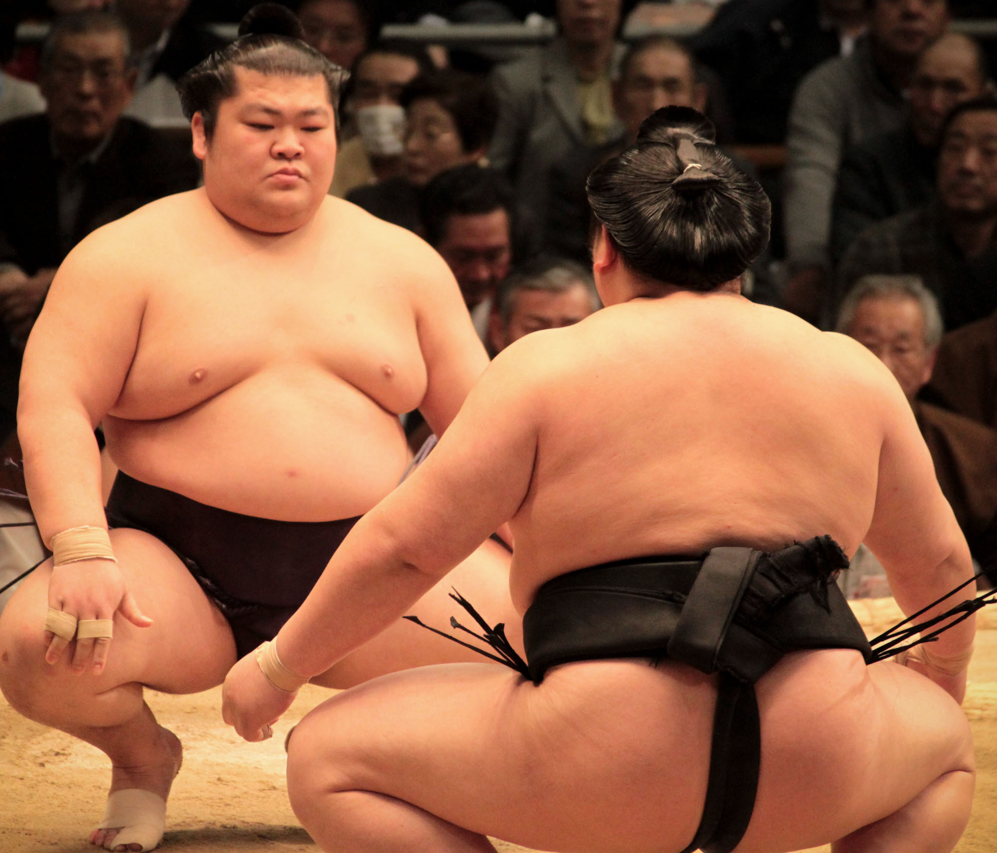 sumo-osaka-6.jpg