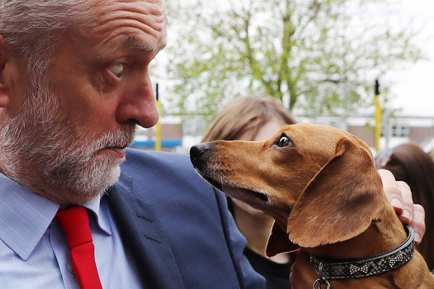 591726b2a5e34_JeremyCorbynDog.jpg