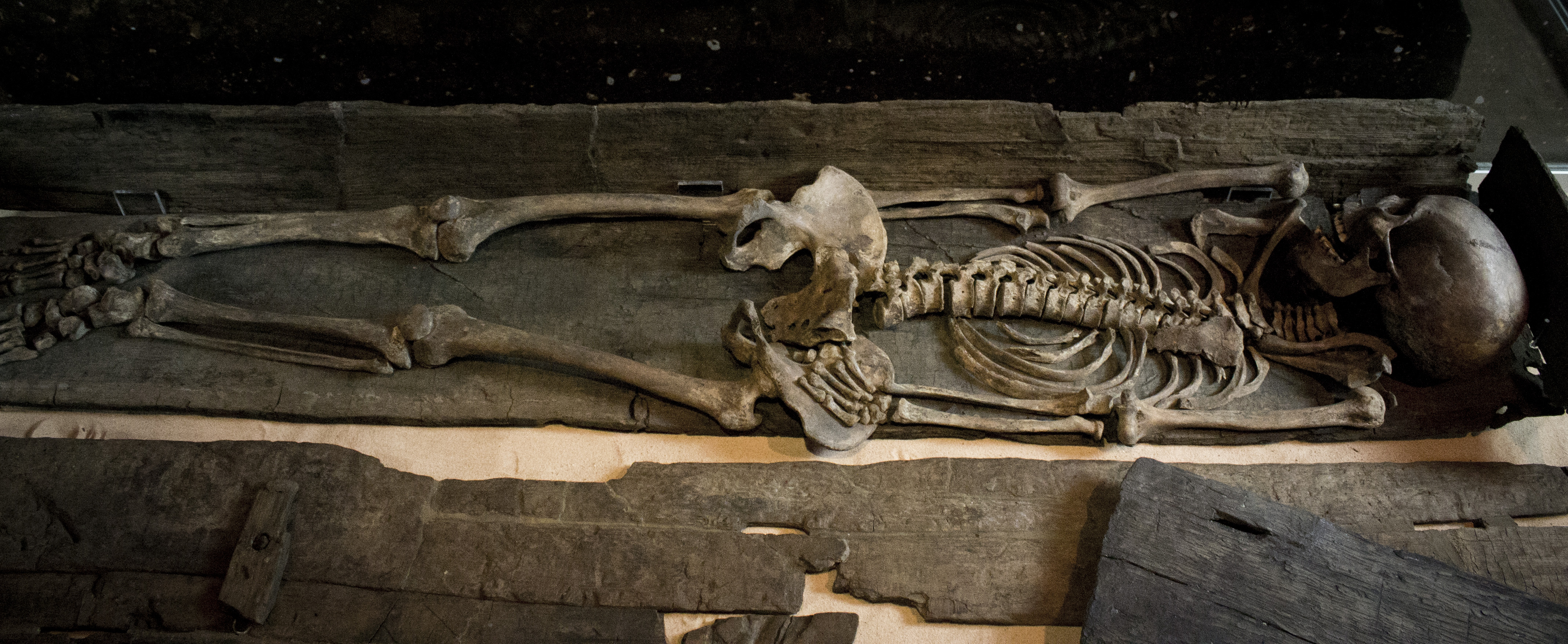 skeleton-with-intact-coffin-from-Swinegate-York-2.jpg