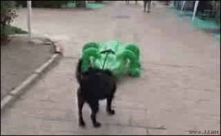 lyIrx.gif