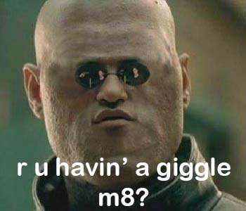 e35.jpg
