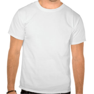 moths_destroyed_my_good_shirt_basic_t_shirt_tshirt-r4f9c580d93454f18a5fff13048134d01_804gs_324.jpg
