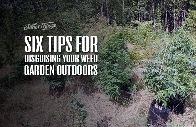 Six-Tips-for-Disguising-Your-Weed-Garden-Outdoors.jpg