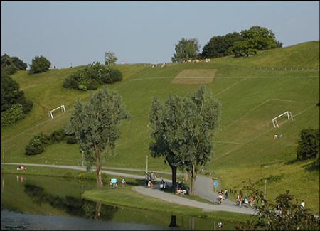 soccer_field_on_a_hill2.jpg