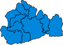 213px-SurreyParliamentaryConstituency2010Results.svg.png